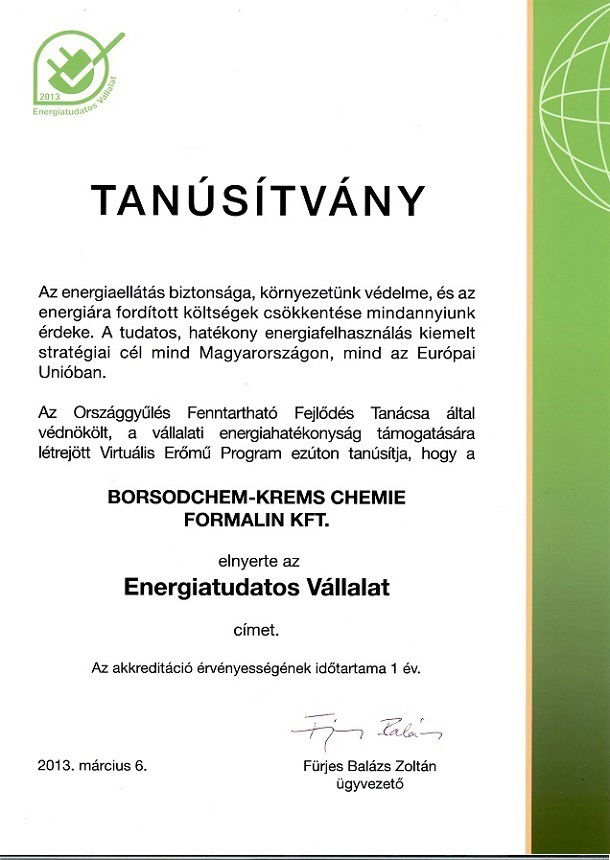 Energy Conscious Company 2013. certification